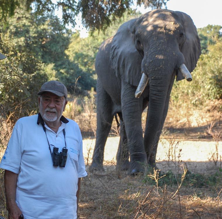 Fig. 35. Dafnis is pictured in 2009 on safari in Zimbabwe.